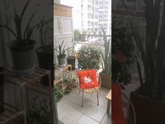 الفولاذ المقاوم للصدأ من الدرجة 316 مع مشبك عبور الأمان لشبكة الشرفة غير المرئية