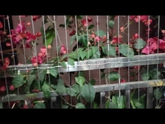 المجتمع الحديث تصميم شرفة شبكة غير مرئية مع خدمة الخرق وقدرة الحمل 100 كجم