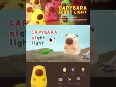 مصباح ليلي لطيف