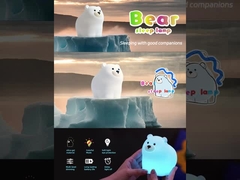 مصباح ليلي لطيف