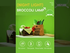 مصباح ليلي لطيف